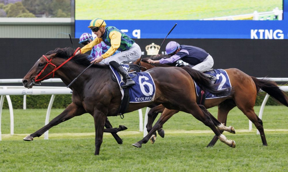 理素质的支 理素质的支