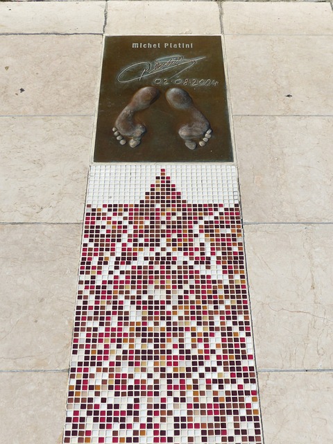 坡体育领域 坡体育领域