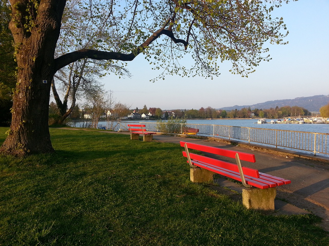 步行者队的 步行者队的